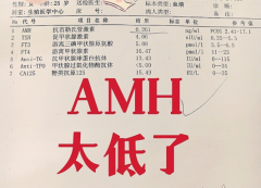 AMH值很低能做试管吗？移植成功可能性很小！