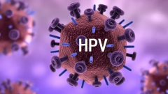 hpv阳性能做试管吗？专家解析二者之间关系！