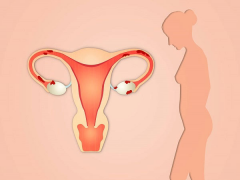 牡丹江妇幼保健院生殖科有哪些专业的医生坐诊？全面介绍其医疗团队
