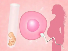 单身女性做试管要多少钱？分析详细费用组成！