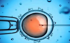 影响试管成功率的因素主要有这三点，建议先了解清楚！