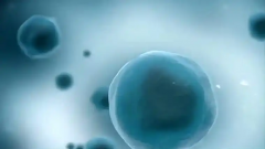 试管怎么才能成功？看看哪些因素容易导致移植失败！