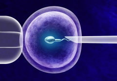 四大因素影响试管成功率，手术前一定要关注！