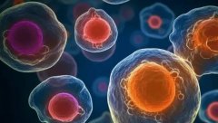 男方不育也能当爸？揭秘试管技术如何实现！