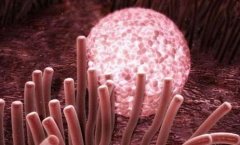试管助孕新解：为何选择冷冻多余胚胎？揭秘背后的科学与策略！