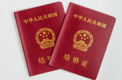 国内做试管必须满足这些条件，单身人群不能做！