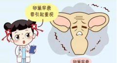 卵巢早衰试管价格多少？做几代试管技术合适？
