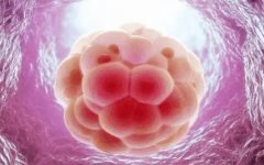 AMH值1.6做试管：成功率究竟几何？全面解析与备孕建议！