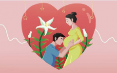 试管全过程揭秘：从准备到成功，一步步了解试管的详细步骤