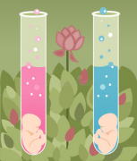 进行试管治疗需要满足哪些前提条件？全面解析试管治疗的必备要素