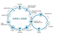 做试管一共需要六步，都没问题才能怀孕！
