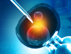 哪些人群适合做试管？五种女性建议别尝试！