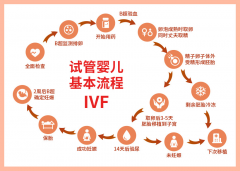 超详细试管流程，看完心里才有底！