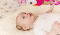 上海三代试管包生'男'孩多少钱？2025年全程费用明细及成功率解析！