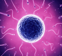 试管孕囊偏小，应该如何有效补救与调理？全面分析与建议