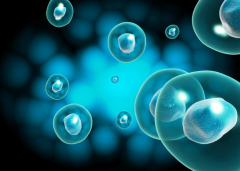 试管技术，哪一代更适合？全面解析各代技术的特点与选择建议