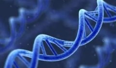 革新生育技术：揭秘第三代试管的非凡优点！