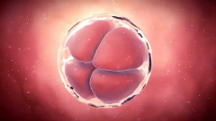 试管鲜胚移植不是谁都能做，达到这些标准才可以！