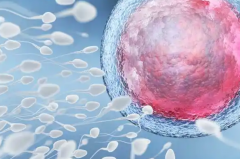 试管常识科普，成功率和费用一定要了解！