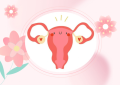 疤痕子宫的女性是否适合进行试管治疗？全面解析其可行性与注意事项