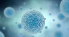 试管移植后，胚胎成功着床可能会表现出哪些征兆？全面解析着床初期