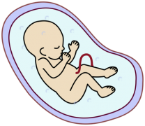 49岁成功通过试管怀上双胞胎，她们的宝贵经验分享！全面解析高龄试管