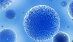 试管对母体影响全解析：科学管理，安心迎接新生命！