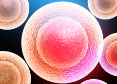 高龄女性做试管怎么才能成功？这些方法能帮助你怀孕！