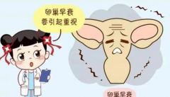 女性卵巢早衰能用试管怀孕吗？专家为你提供答案！