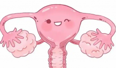 幼稚子宫为什么不适合做试管？详细原因解析！