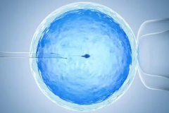 上海同济医院做试管的全部费用是多少？了解详细构成