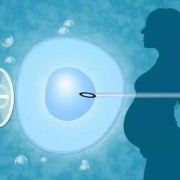 上海瑞金医院试管成功率深度解析：了解成功几率与关键因素