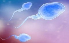 精子成活率低？试管或许能为你开启生育之门！