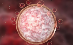 鲜胚移植后，胚胎着床成功的关键迹象大盘点！