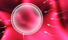 试管科普时间！冻胚移植着床症状详解！