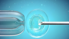 43岁高龄女性做三代试管成功率高不高？高龄女性应该做几代试管？