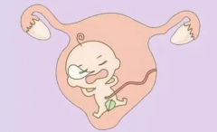 邯郸妇幼保健院试管成功率详解：了解成功概率，为您的生育之路保驾