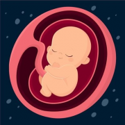 在唐山市妇幼保健院进行试管治疗，具体费用是多少？全面费用解析与
