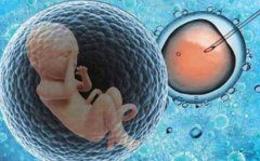 2025年长春试管包生'男'孩医院排名与流程大揭秘！
