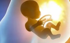 高龄试管：成功率究竟几何？