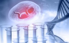 试管与正常怀孕大不同：专业解读助你了解两种生育方式的独特之处