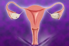 幼稚子宫建议别做试管，因为很难成功！