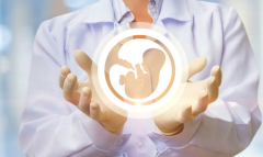 试管多胎婴儿治疗费用：成都最全面的费用指南与患者经验分享