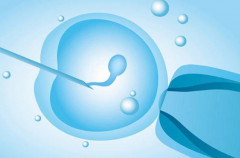 成都单身女性试管攻略：最靠谱的医院推荐与成功率揭秘