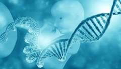试管成功怀孕，哪些关键因素起着决定性作用？全面解析与备孕指南
