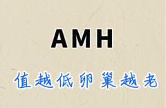 amh和试管成功率关系大，但怀孕还受这些因素影响！