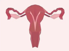 始基子宫做试管需要多少钱？怎么省钱看这里！