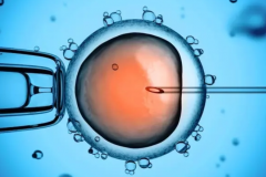 上海瑞金医院三代试管治疗全解析：技术、费用与成功率