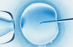 女性如何早期发现怀孕？全面解析多种判断早期怀孕的方法与技巧