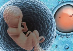 科普试管短期方案，看看哪些人群适合选择它？